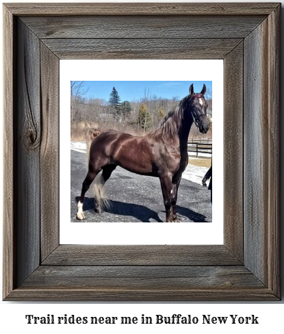 trail rides near me in Buffalo, New York